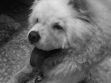 img-20210114-wa0018-600f33274c28d-160_120