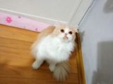 img-20210124-wa0001-600cb2d92605c-160_120